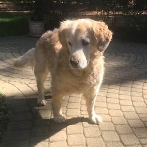 Meet your Posher, Becky